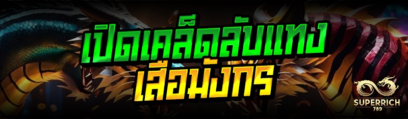 เปิดเคล็ดลับแทงเสือมังกร