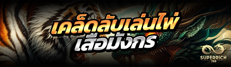 เคล็ดลับเล่นไพ่เสือมังกร